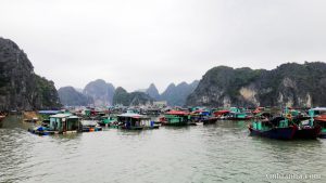 thông tin du lịch vịnh lan hạ - vinhlanha.com