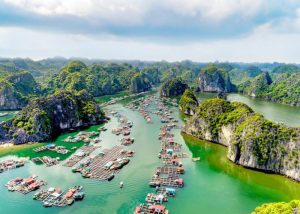tour tham quan vịnh lan hạ 1 ngày