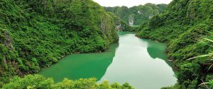 vườn quốc gia cát bà - vinhlanha.com