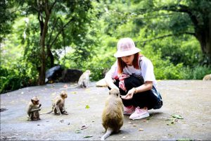 đảo khỉ - vinhlanha.com