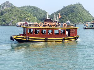 tàu thăm quan vịnh lan hạ, đảo khỉ trong ngày