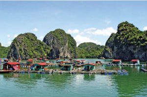 vinhlanha - Điểm tham quan làng chài Cái Bèo