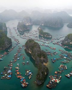 vinhlanha.com - thông tin du lịch vịnh lan hạ